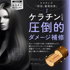 公式 【 KYOGOKU ケラチンフォーム 】...の詳細画像4