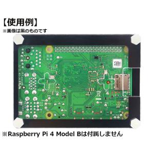 RPI4-ACCASGR Raspberry ...の詳細画像2