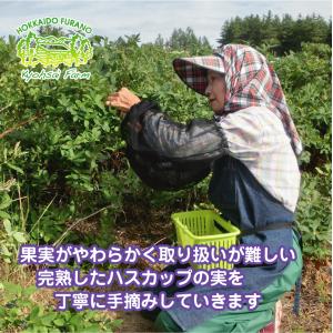 [冷凍品] ふらのジャム園の冷凍生ハスカップ ...の詳細画像1