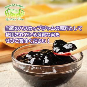 [冷凍品] ふらのジャム園の冷凍生ハスカップ ...の詳細画像4