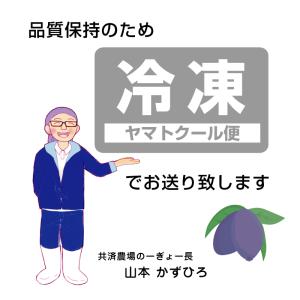[冷凍品] ふらのジャム園の冷凍生ハスカップ ...の詳細画像5