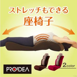 骨盤ポール座椅子 NOBIIIL 波多野式 座椅子 姿勢 腰...