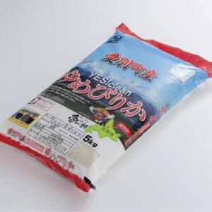 令和3年産 北海道 愛別産 イエスクリーン ゆめぴりか 5kg ×3袋 15kg 条件付き