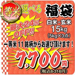 お米 15kg 選べるお米福袋 ミルキークイーン コシヒカリ はえぬき ひとめぼれ 一等米 5kg×3袋 送料無料 29年産米