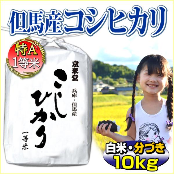 新米 お米 10kg コシヒカリ 白米 当日精米 5kg×2 兵庫県 但馬産 一等米 令和7年産