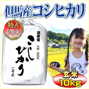 お米 10kg コシヒカリ 玄米 5kg×2 兵庫県 但馬産 一等米 有機質肥料使用 令和5年産｜kyomaido