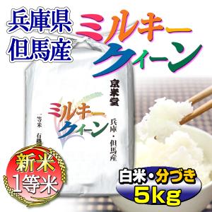 お米 5kg ミルキークイーン 白米 兵庫県 但馬産 有機質肥料使用米 令和5年産｜産直通販・おいしいお米は京米堂