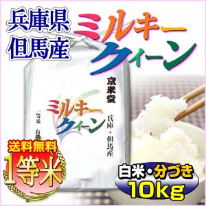 お米 ミルキークイーン 白米 玄米 分づき可 10kg（5kg×2袋）送料無料 兵庫県 但馬産 当日精米 令和5年産