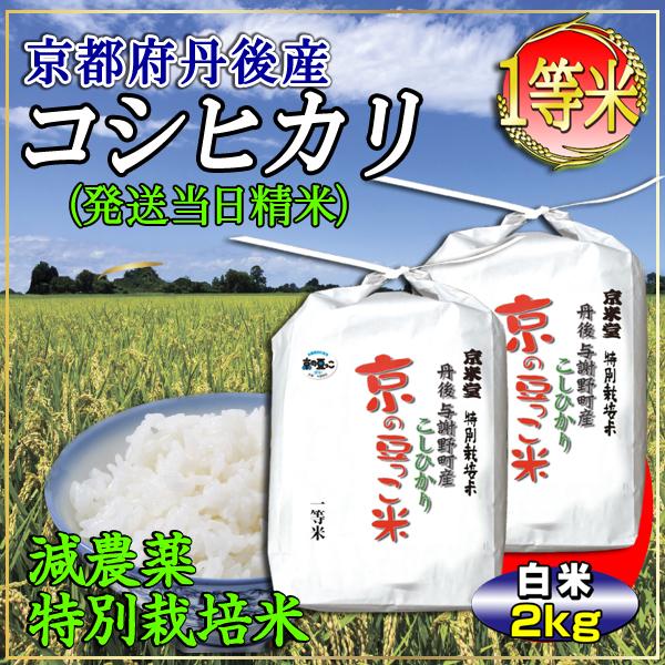 お米 2kg コシヒカリ 当日精米 京都米 丹後産 京の豆っこ米（分づき可能・一等米・特別栽培米） ...