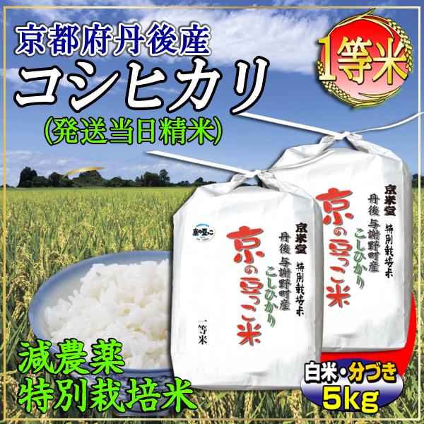 お米 5kg コシヒカリ 当日精米 京都米 丹後産 京の豆っこ米 （分づき可能・一等米・特別栽培米）...