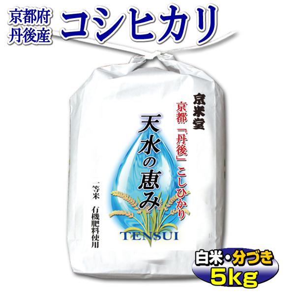 お米 5kg こしひかり 京都米 丹後産 天水の恵み（白米・分搗き） 一等米 令和5年産