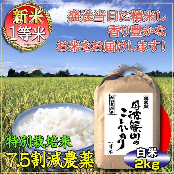 お米 2kg コシヒカリ 7.5割農薬減 兵庫県 丹波篠山産 一等米 分づき可 当日精米 令和5年産...