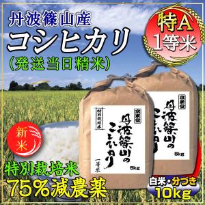 宮城県産 つや姫 10kg（5kg2袋) 令和7年産 送料無料 白米 お米 : 農家