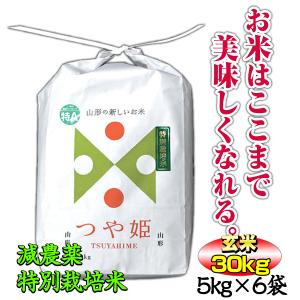 お米 つや姫  30kg 玄米 山形県 庄内産 特別栽培米 送料無料 令和5年産｜産直通販・おいしいお米は京米堂