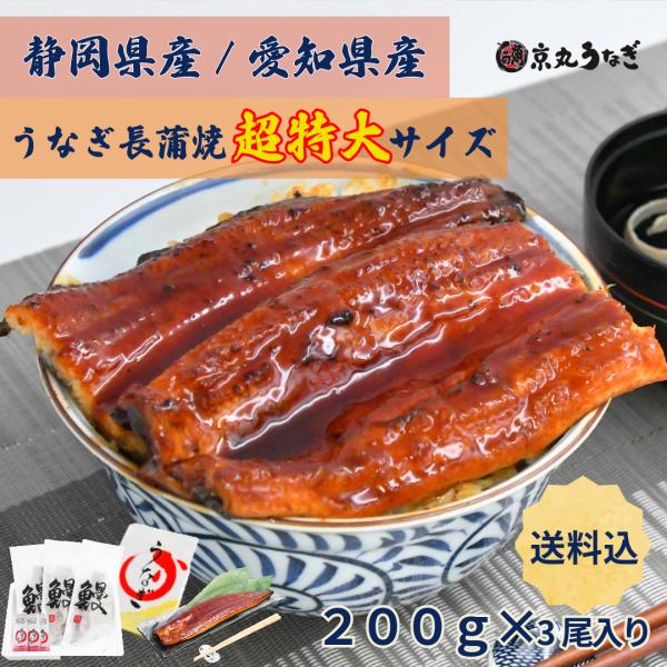 うなぎ長蒲焼　超特大　約200g×3尾入　ギフト　贈り物　プレゼント　敬老の日 御歳暮　京丸うなぎ　...