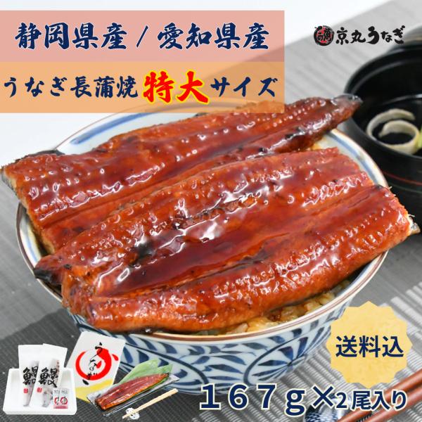 うなぎ長蒲焼　特大　約167g×2尾入　ギフト　贈り物　プレゼント 敬老の日 御歳暮 京丸うなぎ　国...