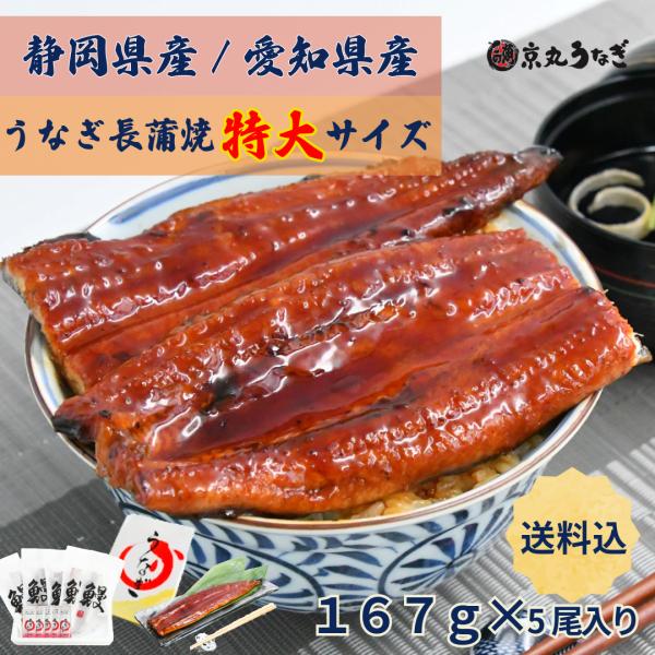 うなぎ長蒲焼　特大　約167g×5尾入　ギフト　贈り物　プレゼント 敬老の日 御歳暮 化粧箱　京丸う...