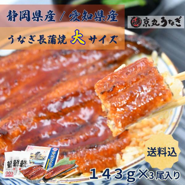 うなぎ長蒲焼　大　約143g×3尾入　ギフト　贈り物　プレゼント 敬老の日 御歳暮 化粧箱　京丸うな...