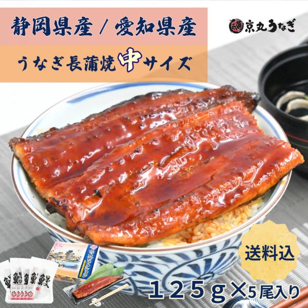うなぎ長蒲焼　中　約125g×5尾入　ギフト　贈り物　プレゼント 敬老の日 御歳暮 化粧箱　京丸うな...