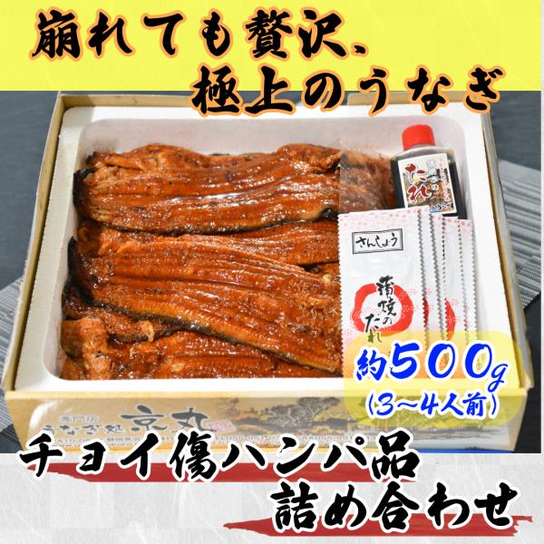 うなぎ長蒲焼 500g  サイズ不揃い ギフト 贈り物 プレゼント  京丸うなぎ 国産 静岡県産 愛...