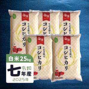 令和7年産 長野県佐久市産 幻の五郎兵衛米こしひかり10kg【5kg×2袋