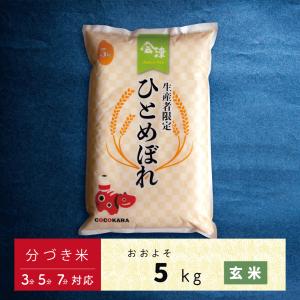 ヒノヒカリ 7年産 ひのひかり 奈良県産 玄米5Kg 白米・7分づき・5分