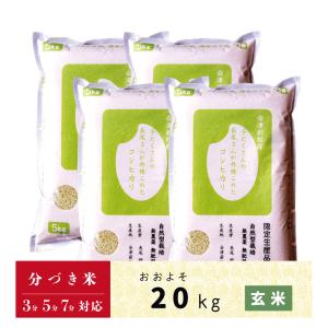 コシヒカリ JAS認定 無農薬自然栽培 会津産コシヒカリ 玄米 20kg