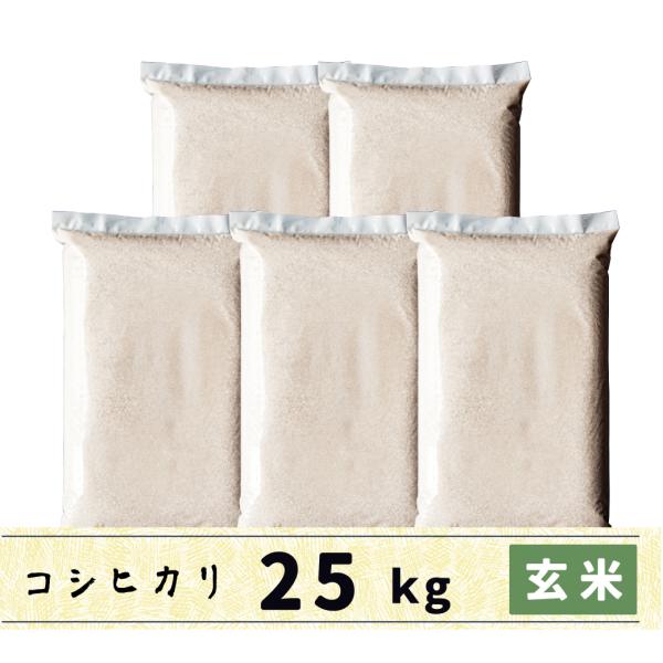 玄米　25kg　会津産コシヒカリ　送料無料　特別栽培米　佐原さんの米