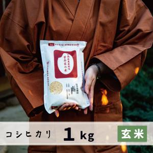 R8年産玄米20kg】“黄金色の玄米”自家栽培低農薬 高知県産 コシヒカリ