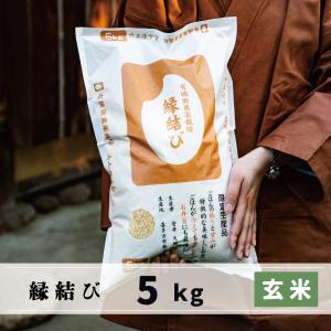 コシヒカリ 無農薬 10kg 令和6年産 玄米 農薬不使用 100％有機肥料