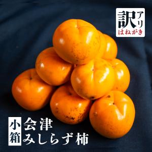 【今期販売終了！】小箱『 会津みしらず柿 』訳あり品 でも美味しい！  約1.5kg  ( 3L〜4Lサイズ 5〜6個入 )　　