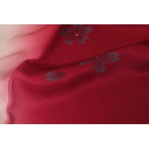 振袖 レンタル セット 赤 エンジ 貸衣裳 成...の詳細画像3