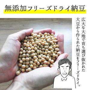 フリーズドライ納豆 納豆粉 100g 乾燥納豆...の詳細画像5