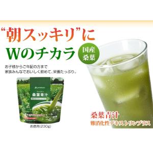 ファイテン.桑葉青汁難消化性デスストリンプラス...の詳細画像1