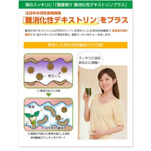 ファイテン.桑葉青汁難消化性デスストリンプラス...の詳細画像2