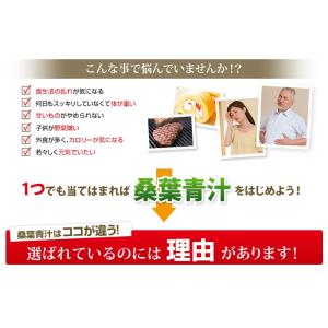 ファイテン.桑葉青汁難消化性デスストリンプラス...の詳細画像3