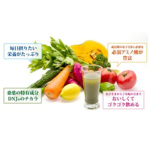ファイテン.桑葉青汁難消化性デスストリンプラス...の詳細画像4