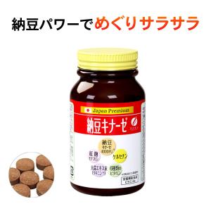 ナットウキナーゼ サプリ サプリメント なっとう 納豆キナーゼ 240粒×2