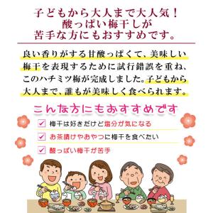 梅干し 梅干 はちみつ 500g 減塩 ギフト...の詳細画像4