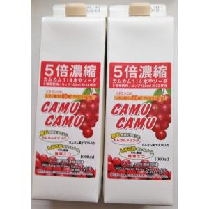 カムカム５倍濃縮飲料　1000ｍｌ ２本パック（賞味期限2024年7月4日）｜kyoshimi-flanker