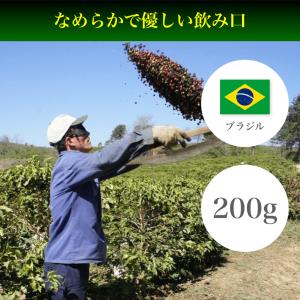 コーヒー豆 200g ブラジル モンテアレグレ