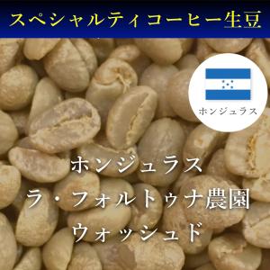 【ネット限定価格】コーヒー生豆  1kg ホンジュラス　ラ・フォルトゥナ　ウォッシュド｜kyoto-coffee