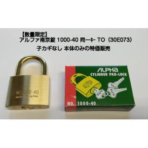 SOL（ソール）シリンダー南京錠 No.2500-45mm 同一キー No.AR4234【4個