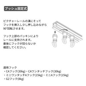 タキヤ CAフック シルバー(コレダーラインピ...の詳細画像2