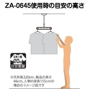 川口技研 軒天用ホスクリーン ZA-0645型...の詳細画像3