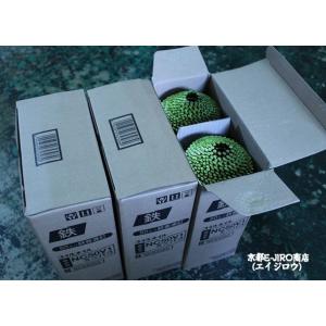 MAX マックスロール釘50mm NC50V1...の詳細画像1