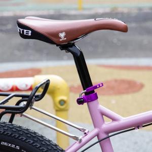 WTB pure-V race saddle ...の詳細画像5