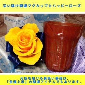 美濃焼フリーカップとハッピーローズの父の日セット｜kyoto-flower