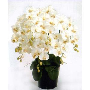 人工観葉植物柱サボテン 弁慶柱 : 京都フラワーサービス - 通販