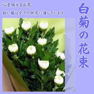 白菊の花束 大輪 10本の商品画像
